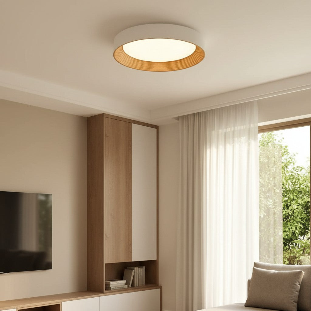 Malcolm | Minimalist LED Ceiling Light Round Flush Mount for Home Lighting