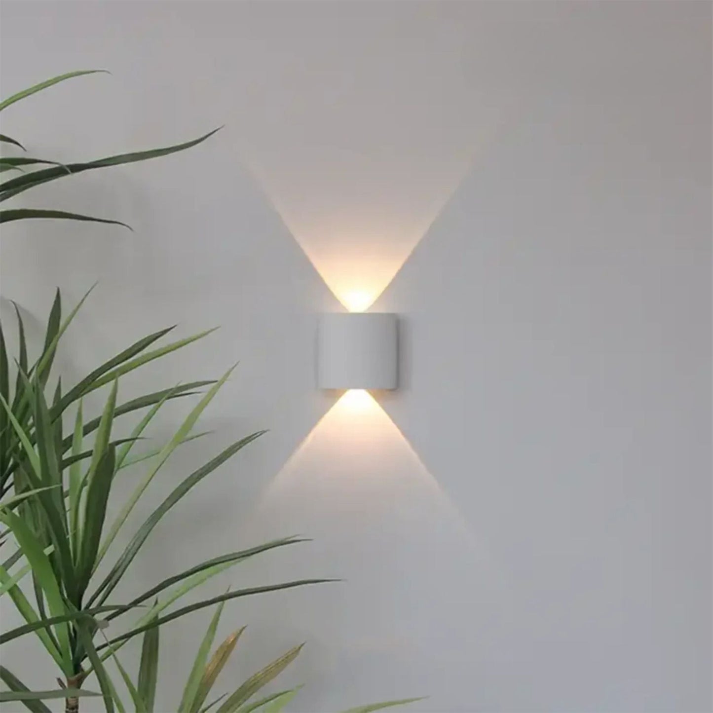 Nova | LED Indoor/Outdoor Wall Light
