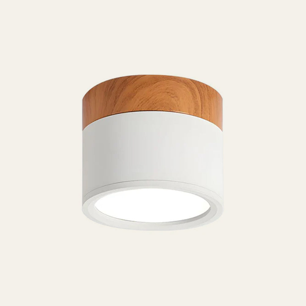 Noor | Flush Ceiling Lights, Cylinder