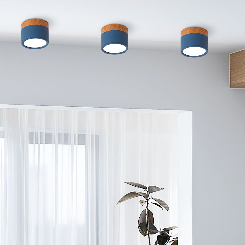 Noor | Flush Ceiling Lights, Cylinder