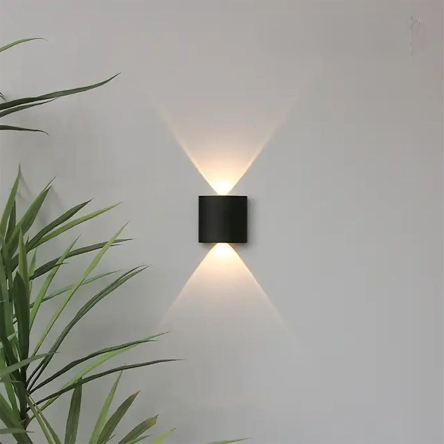 Nova | LED Indoor/Outdoor Wall Light