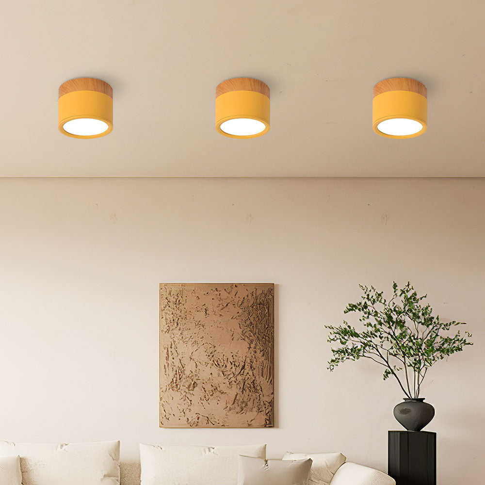 Noor | Flush Ceiling Lights, Cylinder
