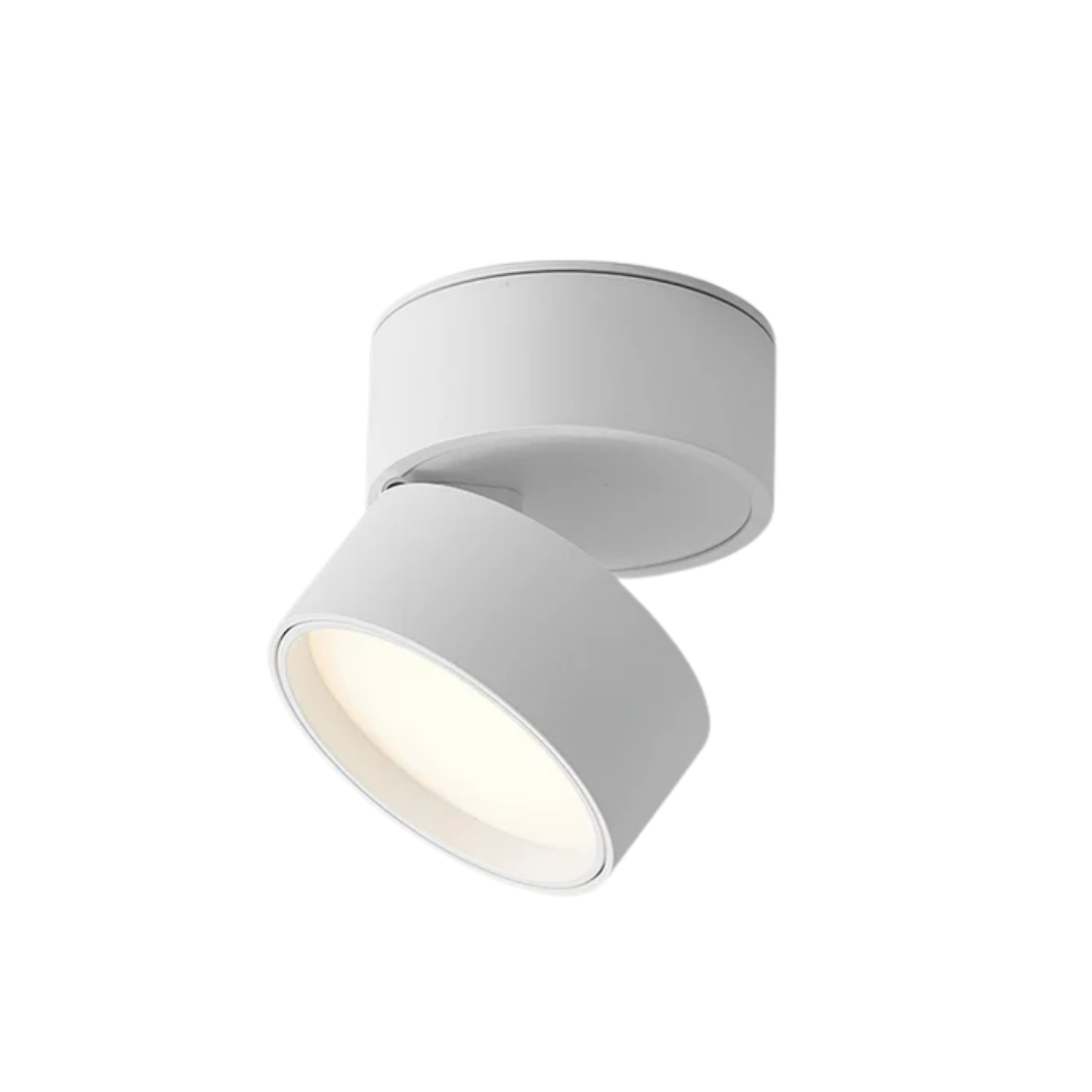 Adjustable LED Ceiling Lamp | Modern Design