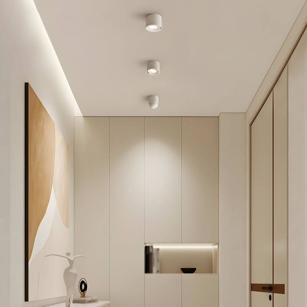 Adjustable LED Ceiling Lamp | Surface-Mounted Spotlight