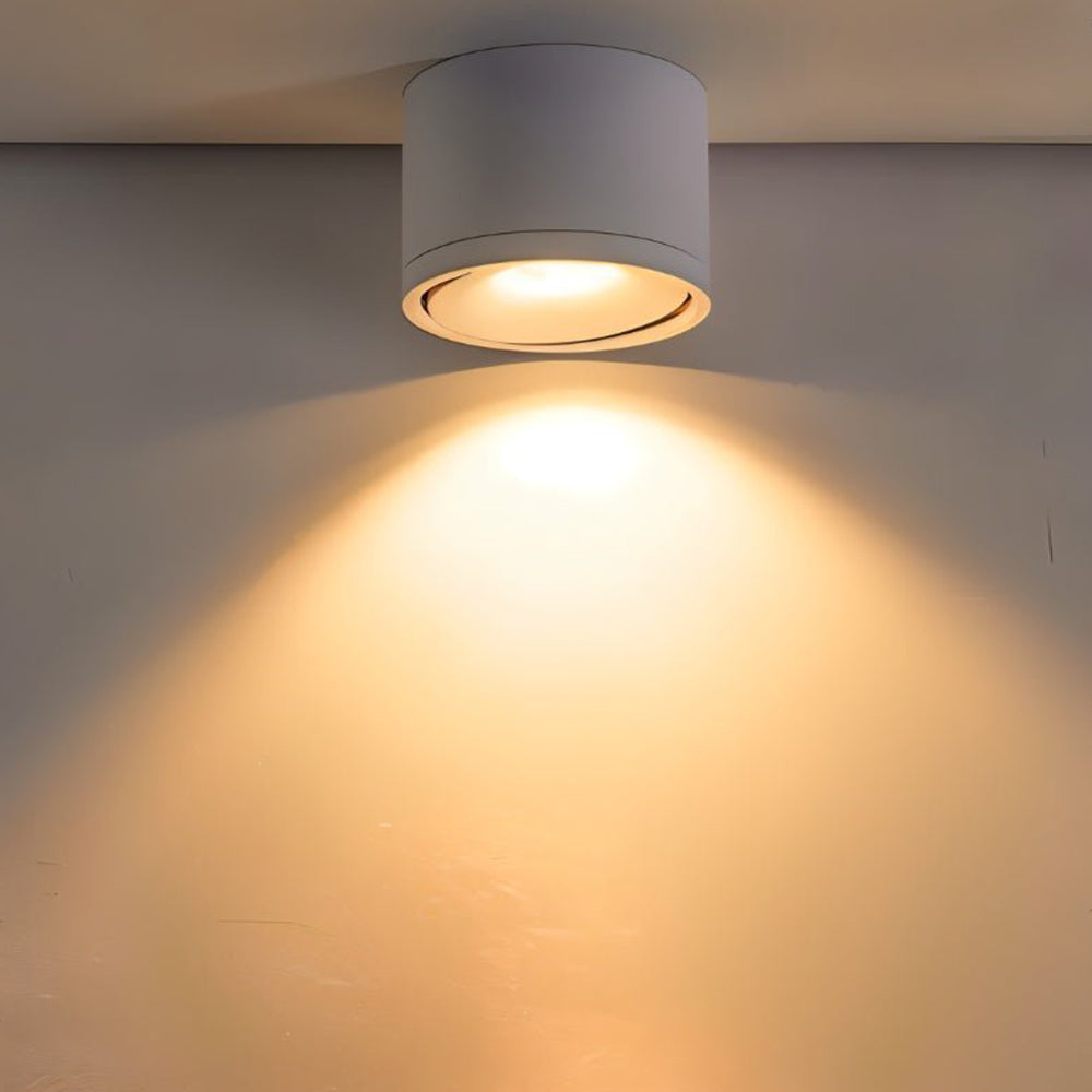 Adjustable LED Ceiling Lamp | Surface-Mounted Spotlight