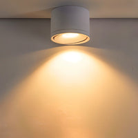 Adjustable LED Ceiling Lamp | Surface-Mounted Spotlight