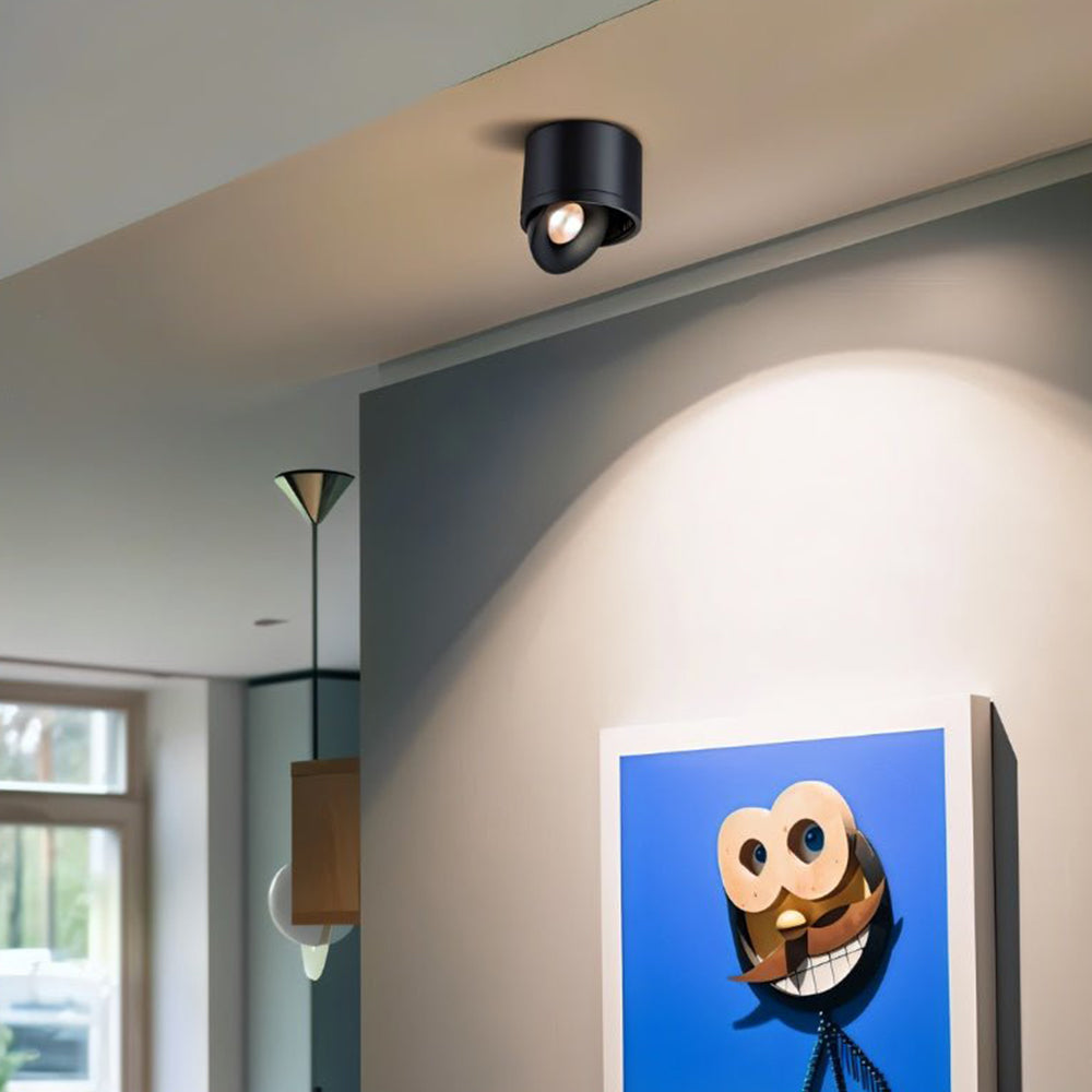 Adjustable LED Ceiling Lamp | Surface-Mounted Spotlight