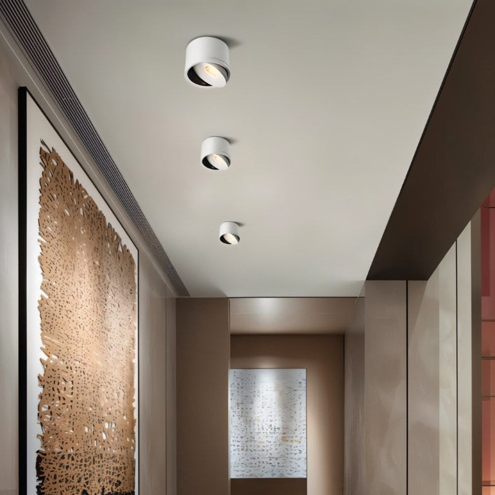 Adjustable LED Ceiling Lamp | Surface-Mounted Spotlight