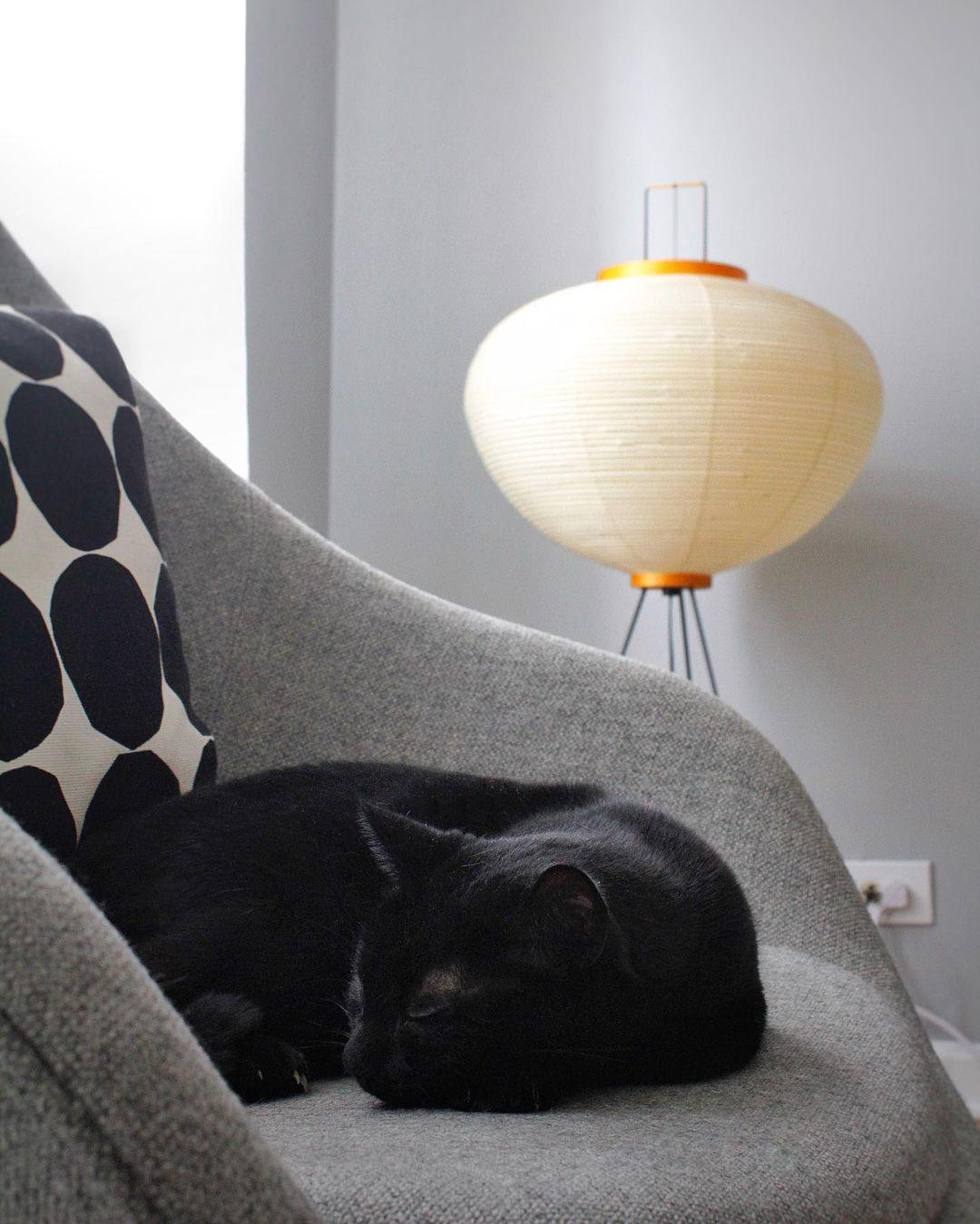 Jaxen | Classic Paper Floor Lamp Lighting for Bedroom or Lounge