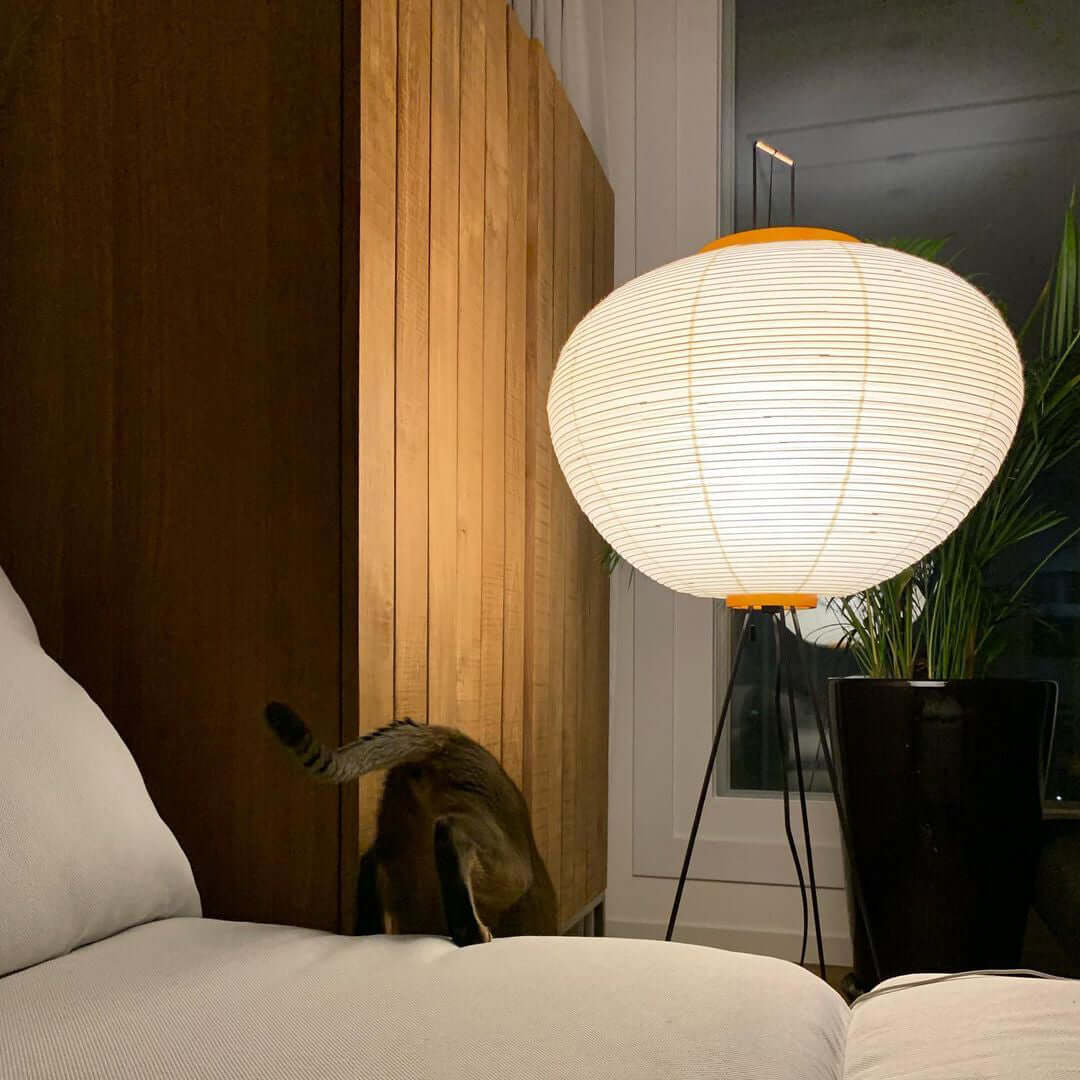 Jaxen | Classic Paper Floor Lamp Lighting for Bedroom or Lounge