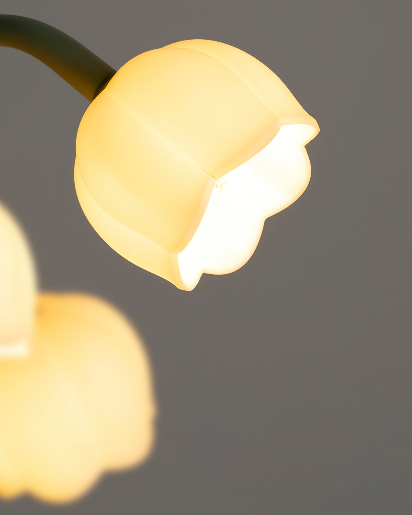 Twinkla | Contemporary Floral Orchid Accent Light for  Bedroom