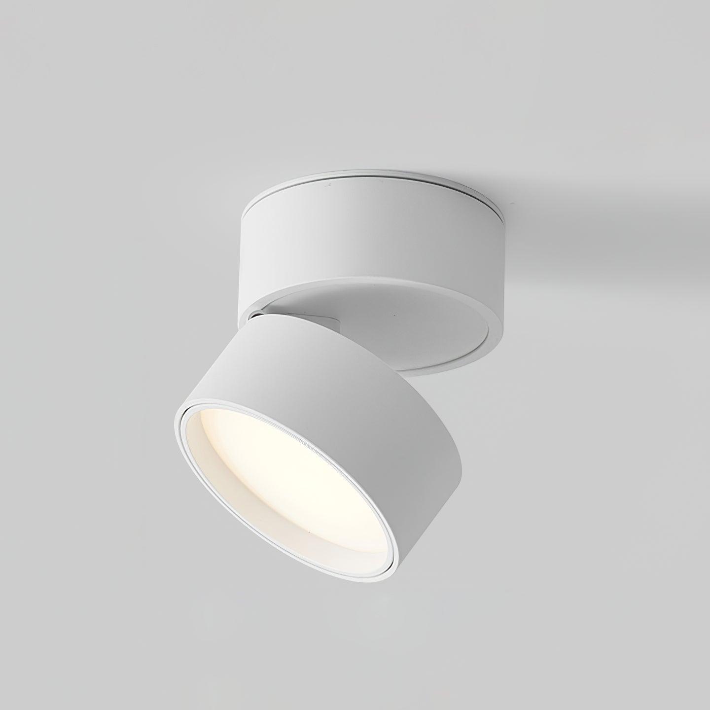 Linea | 360° Rotating Indoor Flush Ceiling Light