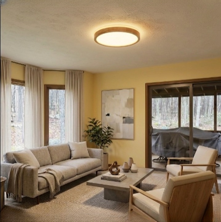 Susie | Dimmable LED Flush Mount Remote Ceiling Light