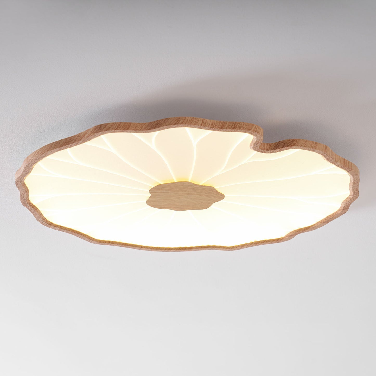 Luca | Ceiling Lamp Acrylic Lotus Shape Indoor Lighting