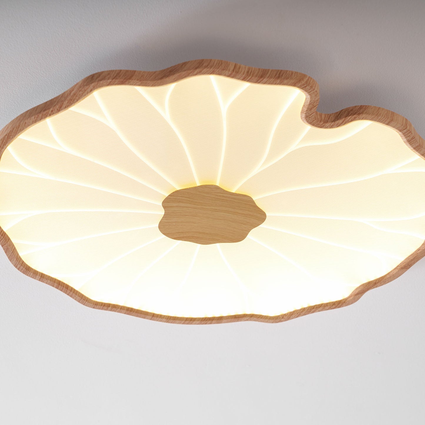 Luca | Ceiling Lamp Acrylic Lotus Shape Indoor Lighting