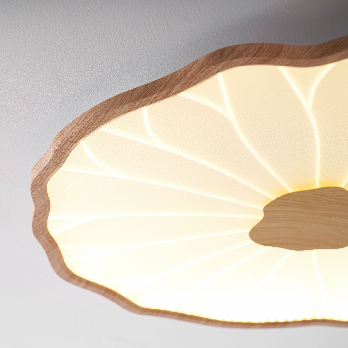 Luca | Ceiling Lamp Acrylic Lotus Shape Indoor Lighting