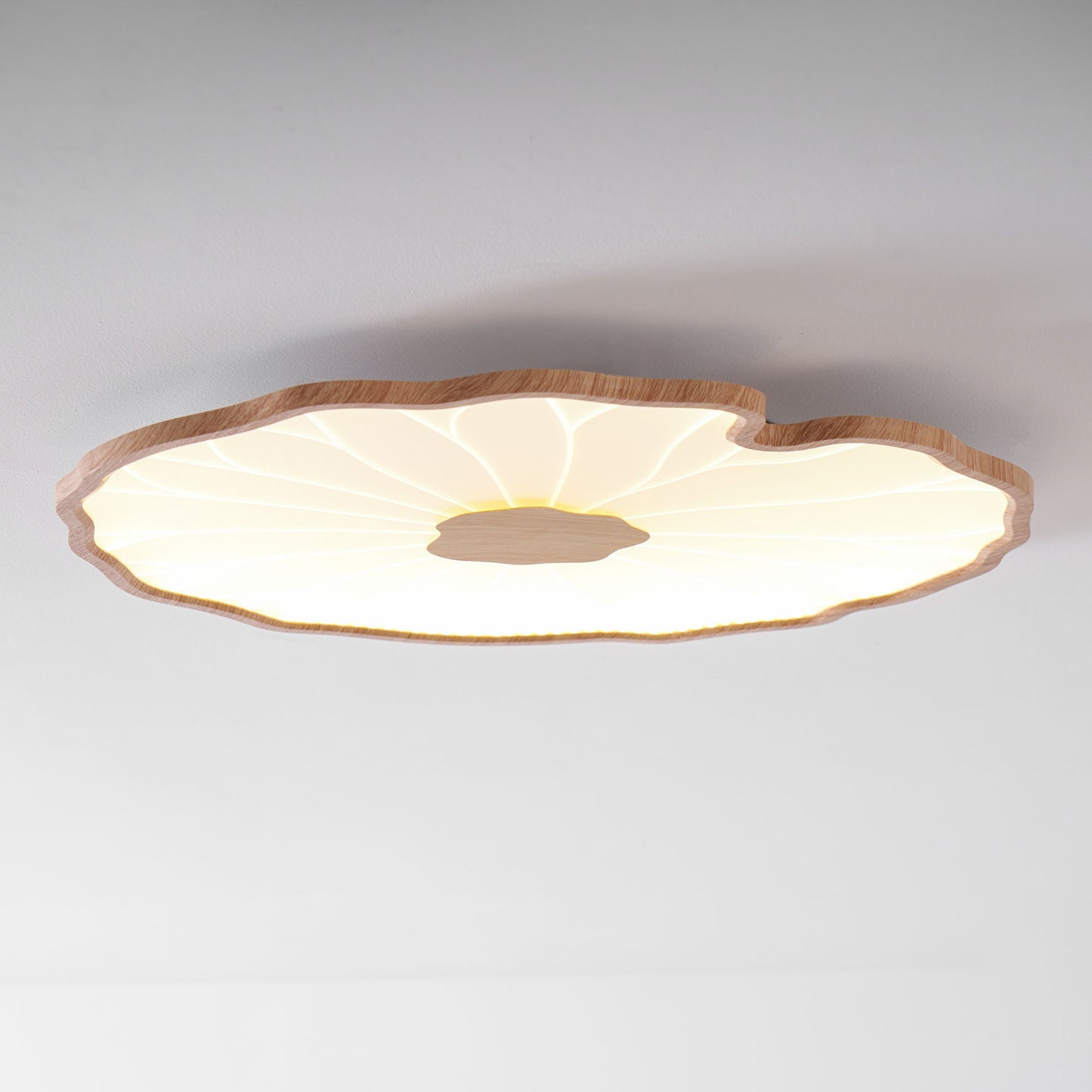 Luca | Ceiling Lamp Acrylic Lotus Shape Indoor Lighting