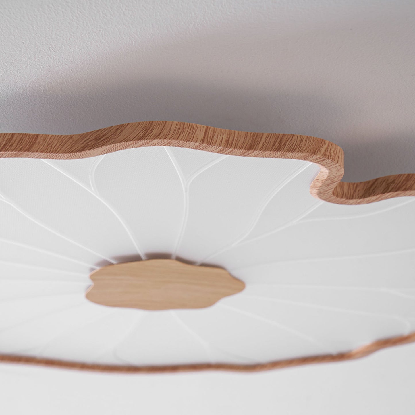 Luca | Ceiling Lamp Acrylic Lotus Shape Indoor Lighting
