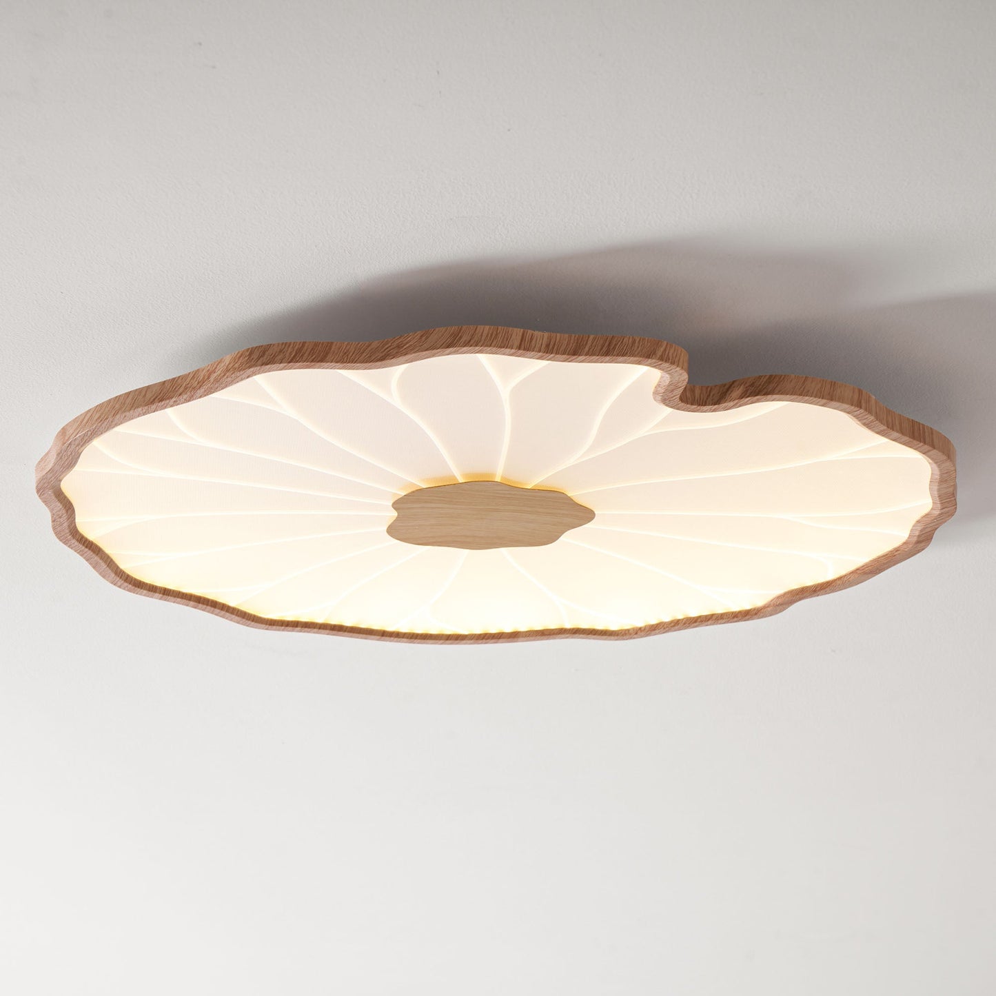 Luca | Ceiling Lamp Acrylic Lotus Shape Indoor Lighting