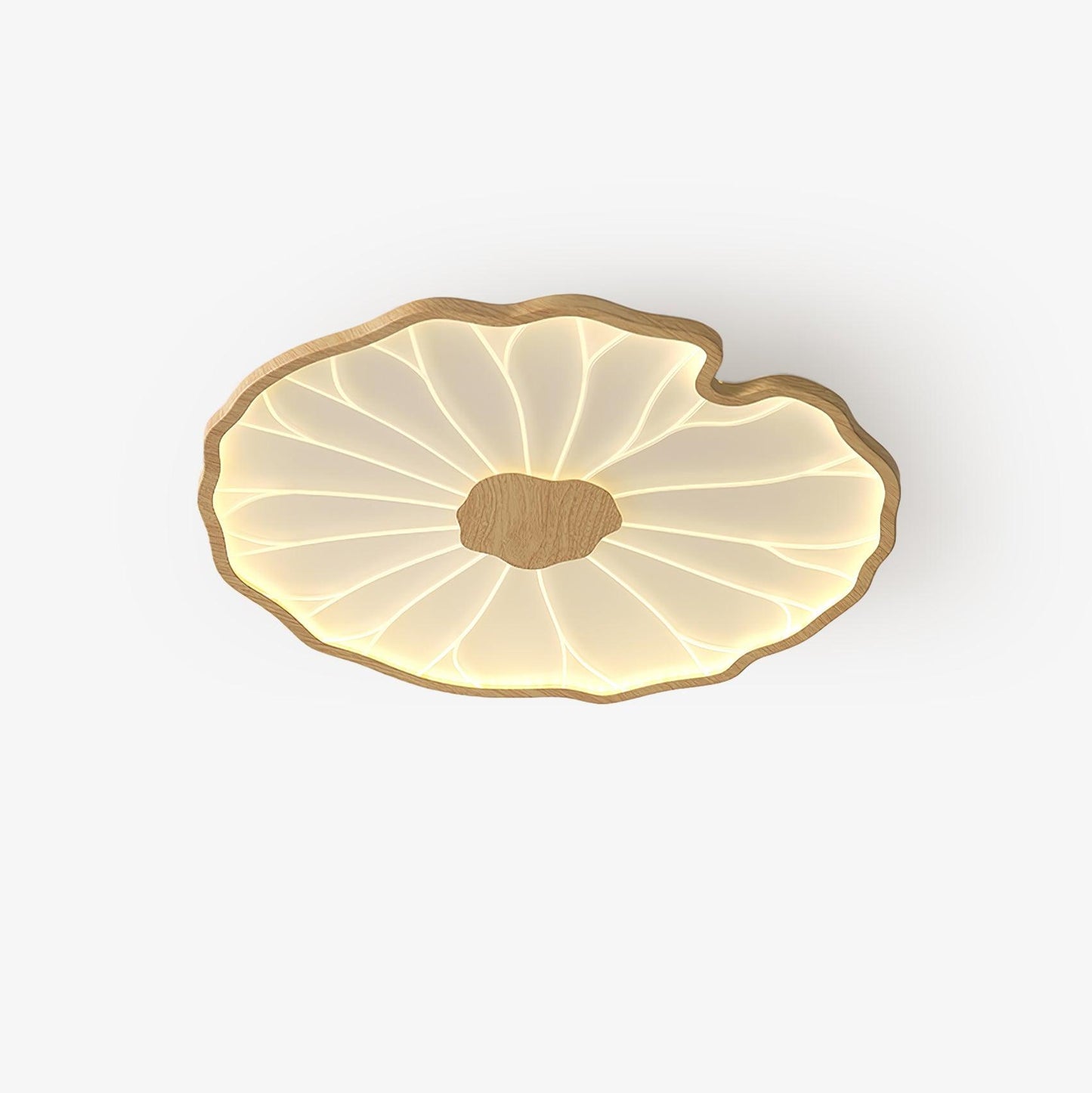 Luca | Ceiling Lamp Acrylic Lotus Shape Indoor Lighting