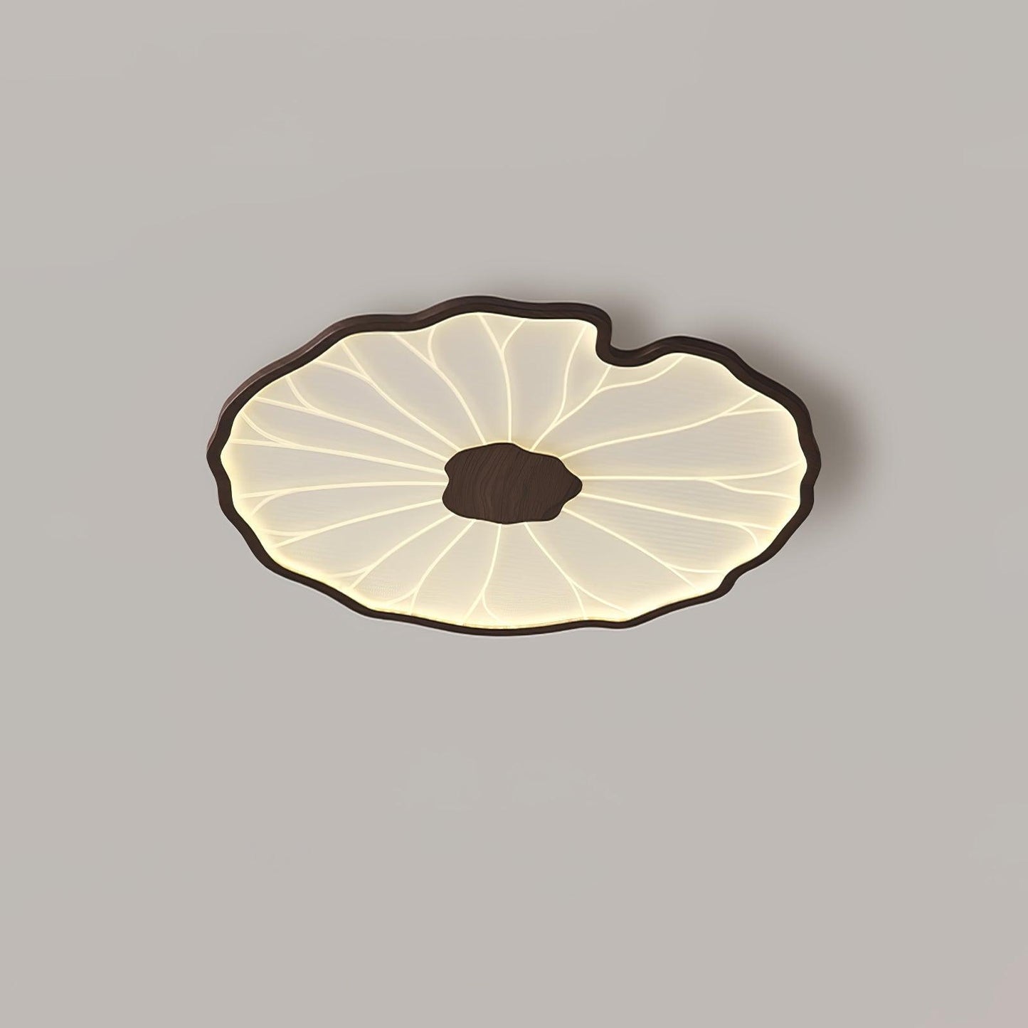 Luca | Ceiling Lamp Acrylic Lotus Shape Indoor Lighting
