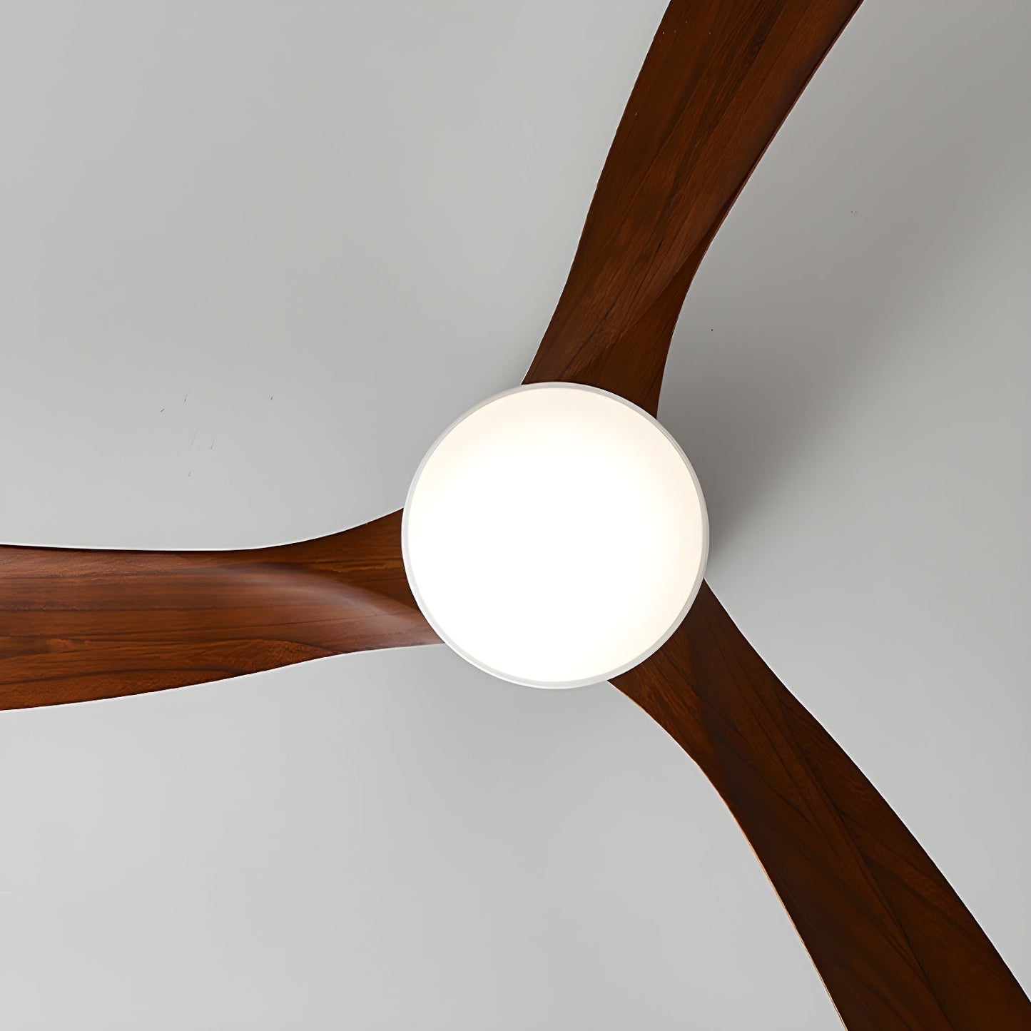 Aura | Wooden LED Ceiling Fan with Light (42” / 48” / 52”)