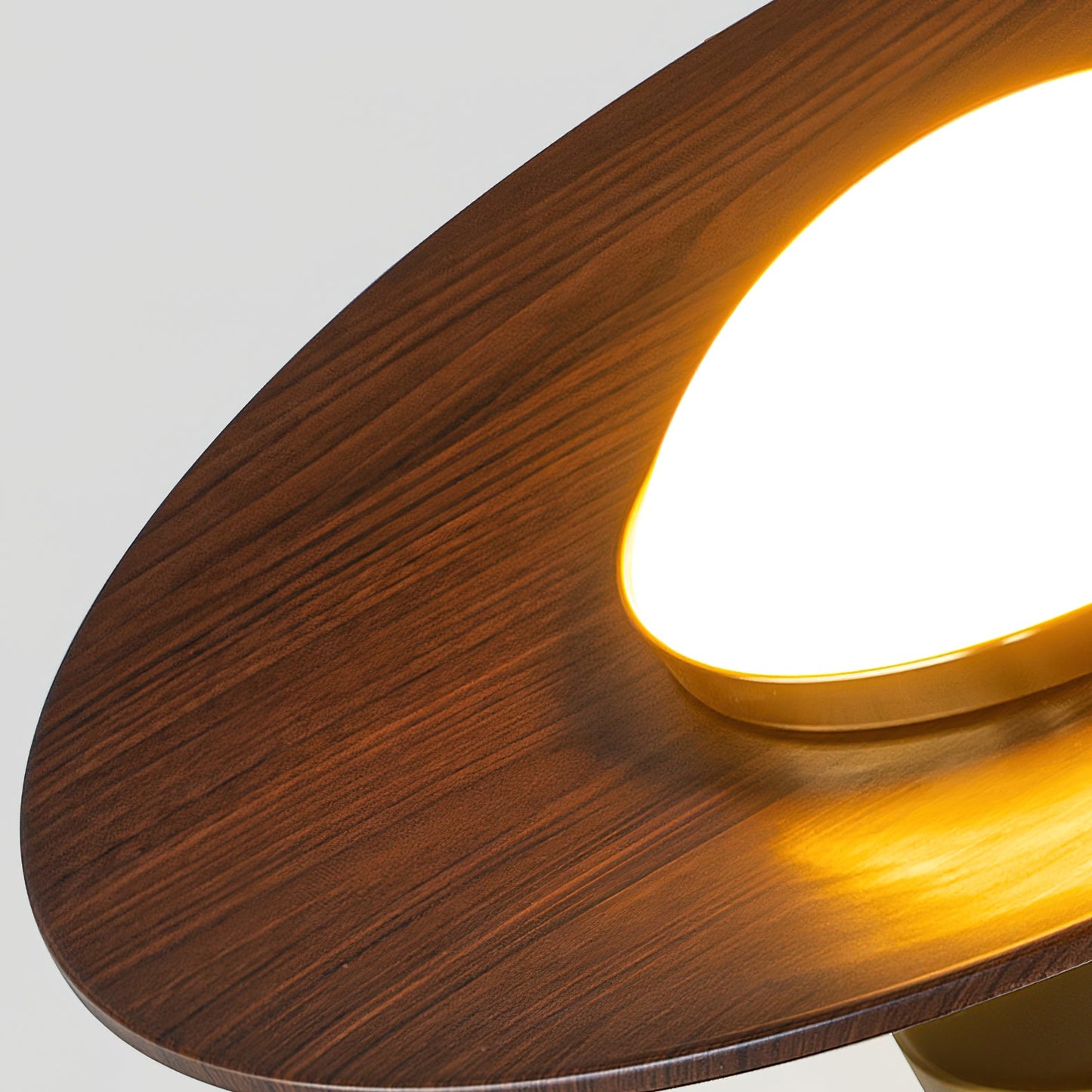 Rayvix | Saucer Shaped Walnut Finish Hallway Ceiling Light