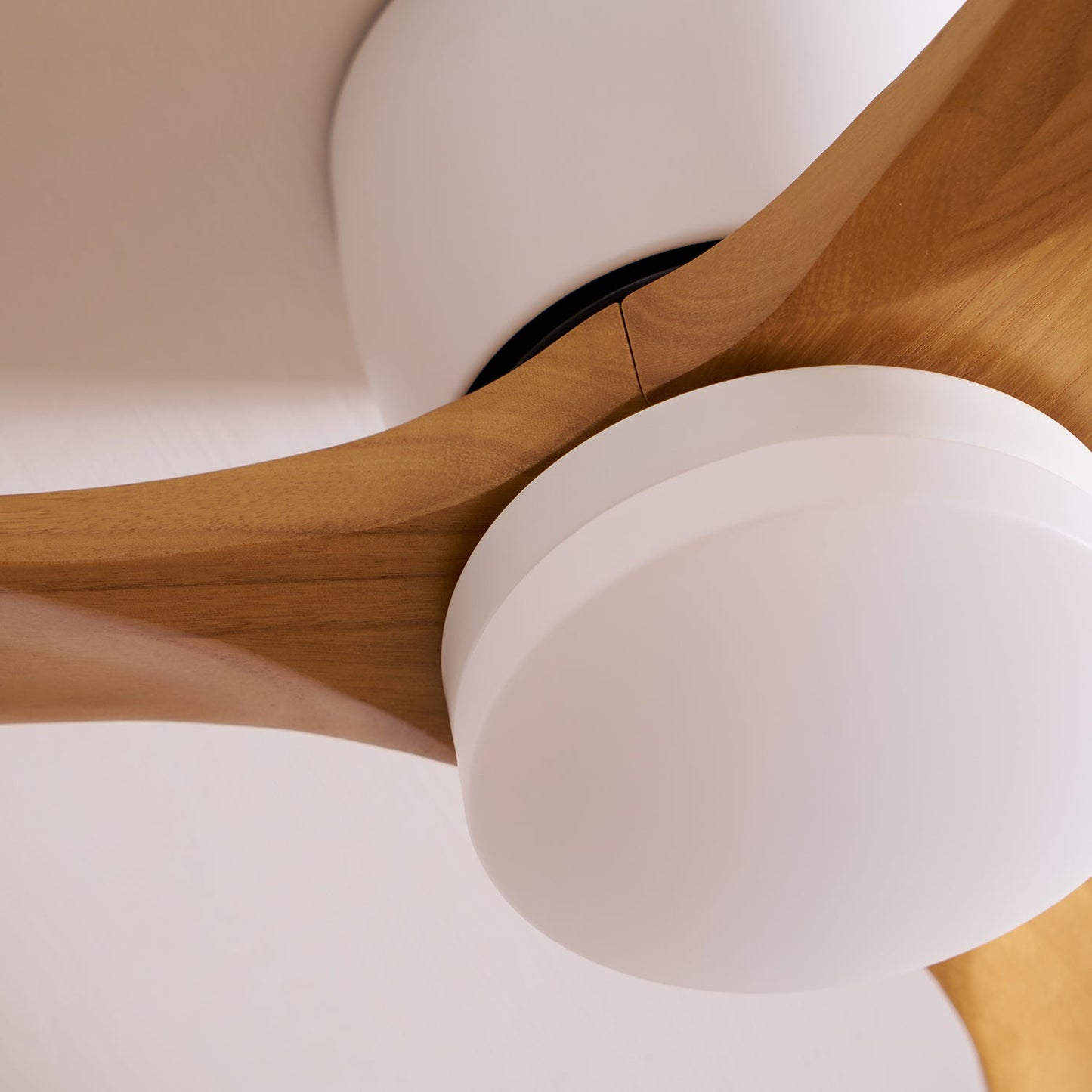 Aura | Wooden LED Ceiling Fan with Light (42” / 48” / 52”)