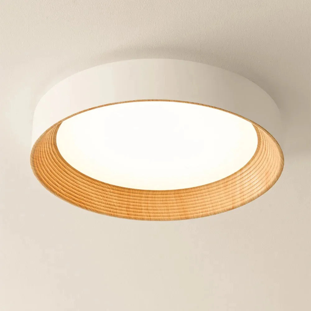 Malcolm | Minimalist LED Ceiling Light Round Flush Mount for Home Lighting
