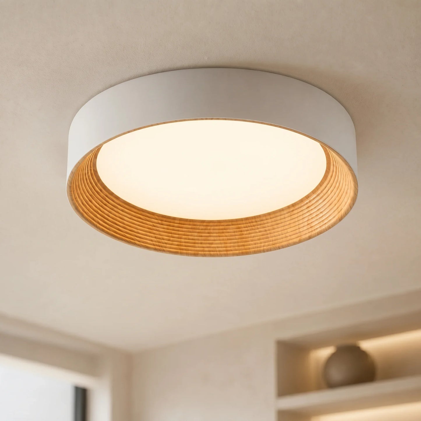 Malcolm | Minimalist LED Ceiling Light Round Flush Mount for Home Lighting