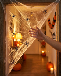 Spider Web Cobweb - in use doorway